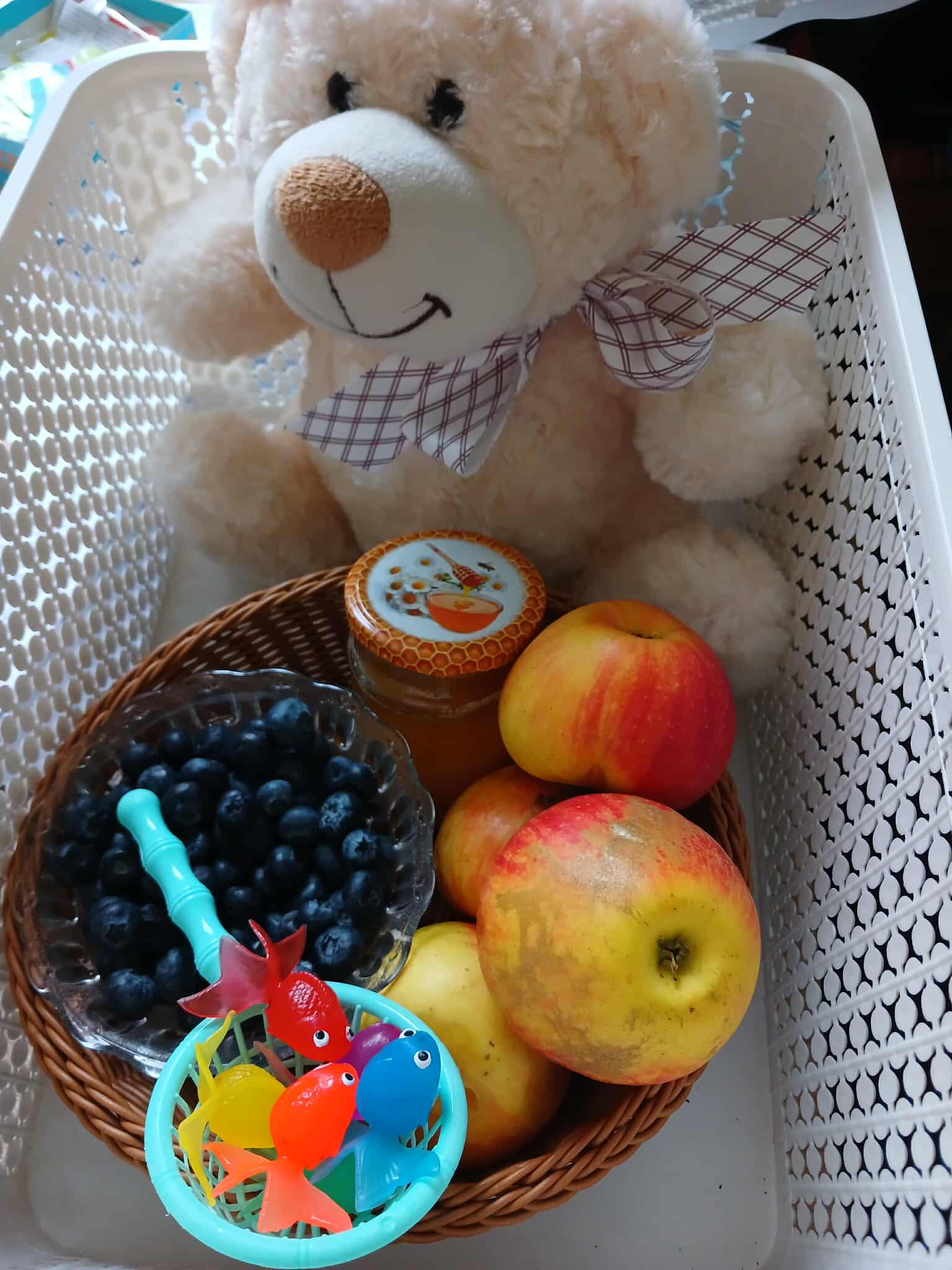 Proiect educațional transfrontalier Moldova- România ,,Curcubeul copilăriei peste frunze și fulgi,,